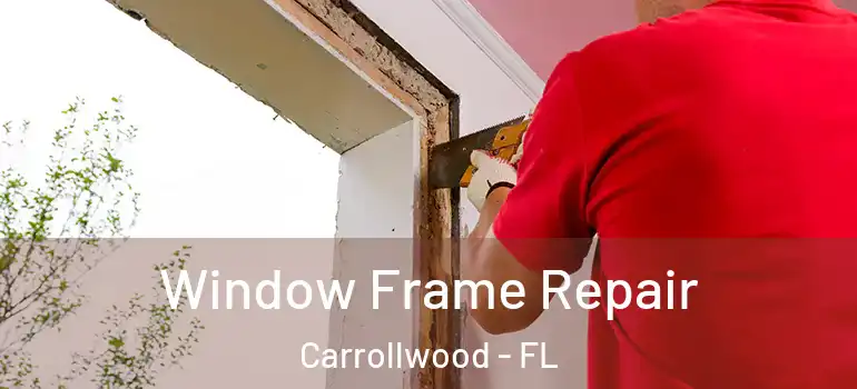Window Frame Repair Carrollwood - FL