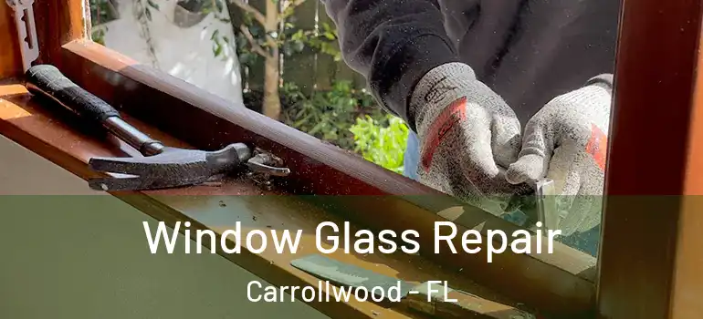 Window Glass Repair Carrollwood - FL