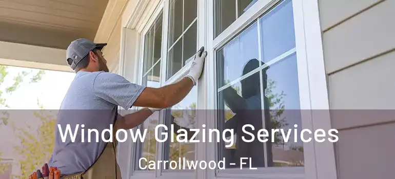 Window Glazing Services Carrollwood - FL