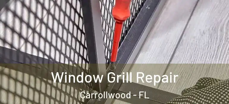 Window Grill Repair Carrollwood - FL