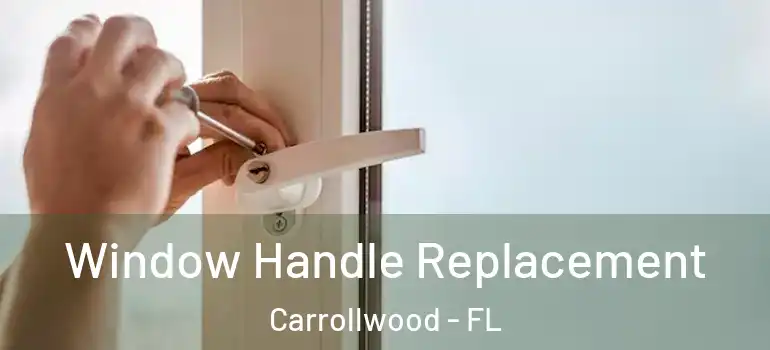 Window Handle Replacement Carrollwood - FL