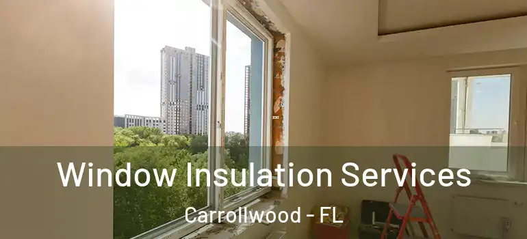 Window Insulation Services Carrollwood - FL