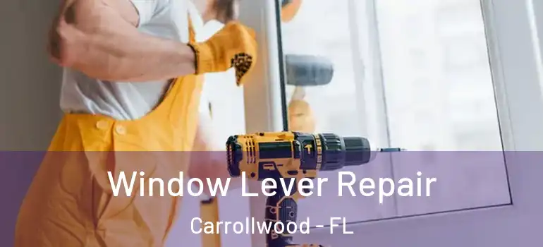 Window Lever Repair Carrollwood - FL