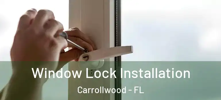 Window Lock Installation Carrollwood - FL