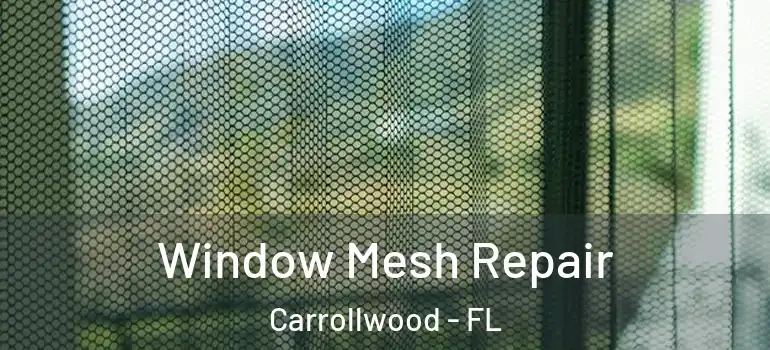 Window Mesh Repair Carrollwood - FL