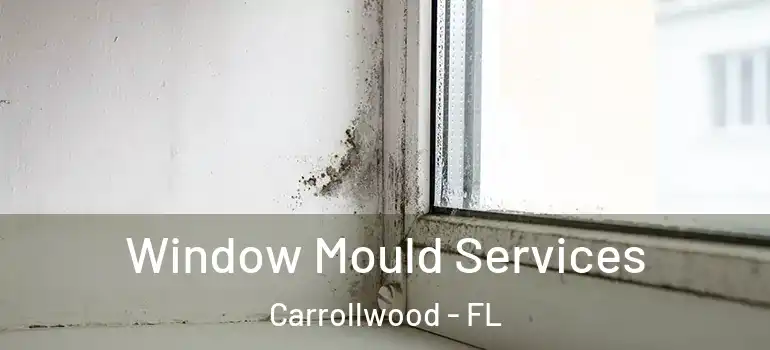 Window Mould Services Carrollwood - FL