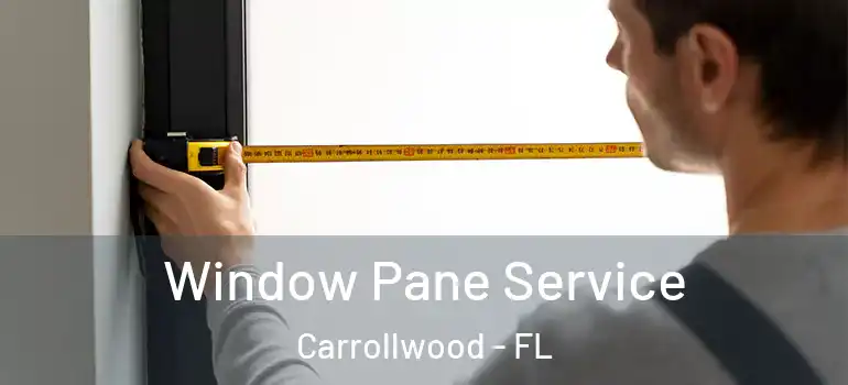 Window Pane Service Carrollwood - FL