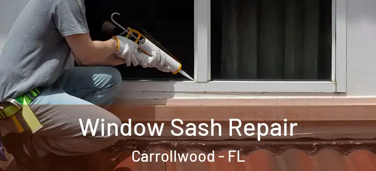 Window Sash Repair Carrollwood - FL