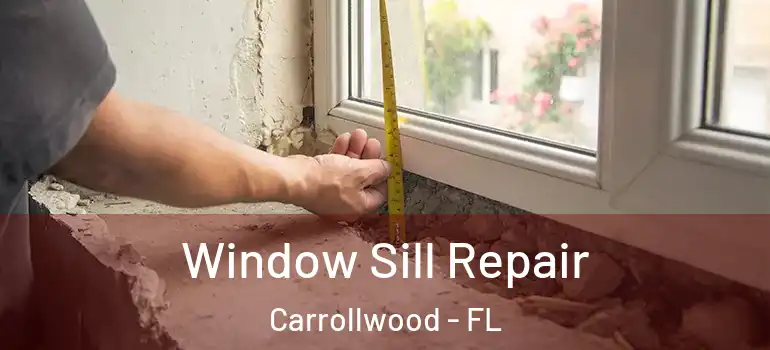 Window Sill Repair Carrollwood - FL
