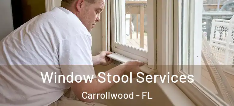 Window Stool Services Carrollwood - FL