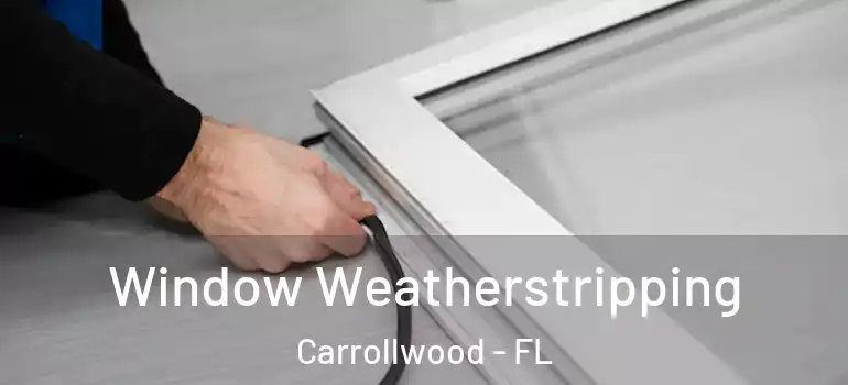 Window Weatherstripping Carrollwood - FL