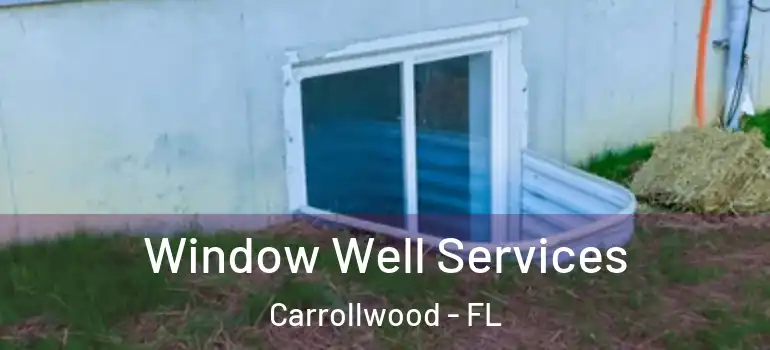 Window Well Services Carrollwood - FL