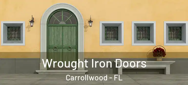 Wrought Iron Doors Carrollwood - FL